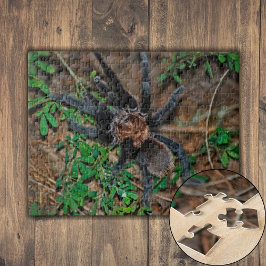 Quebra-cabeça Tarantula Marrom do Texas