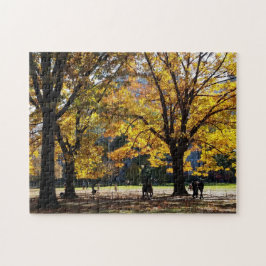 Quebra-cabeça Tarde do outono no Parque Central