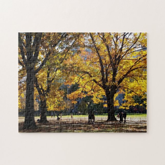 Quebra-cabeça Tarde do outono no Parque Central (Horizontal)