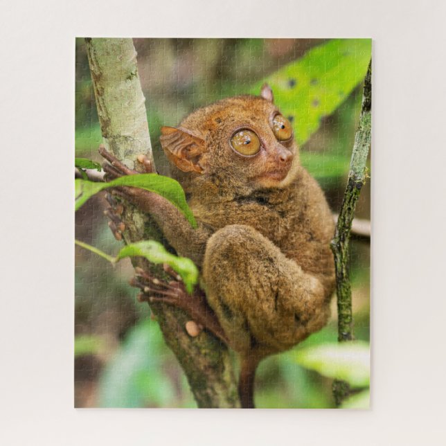 Quebra-cabeça Tarsier Monkey Wildlife (Vertical)