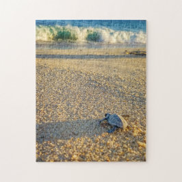 Quebra-cabeça Tartaruga bebê caminhando até o oceano em Los Cabo