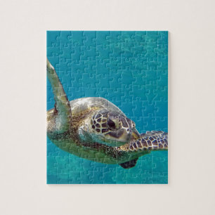 Quebra-cabeça Tartaruga de mar verde de Havaí - Honu