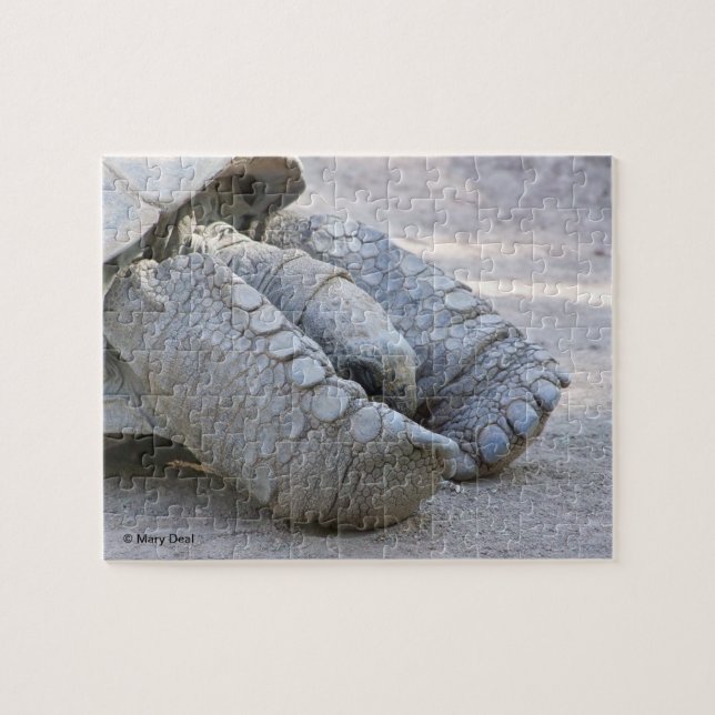 Quebra-cabeça Tartaruga de Sulcata (Horizontal)