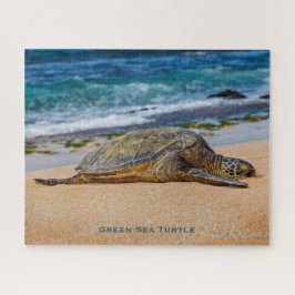 Quebra-cabeça Tartaruga do Mar Verde