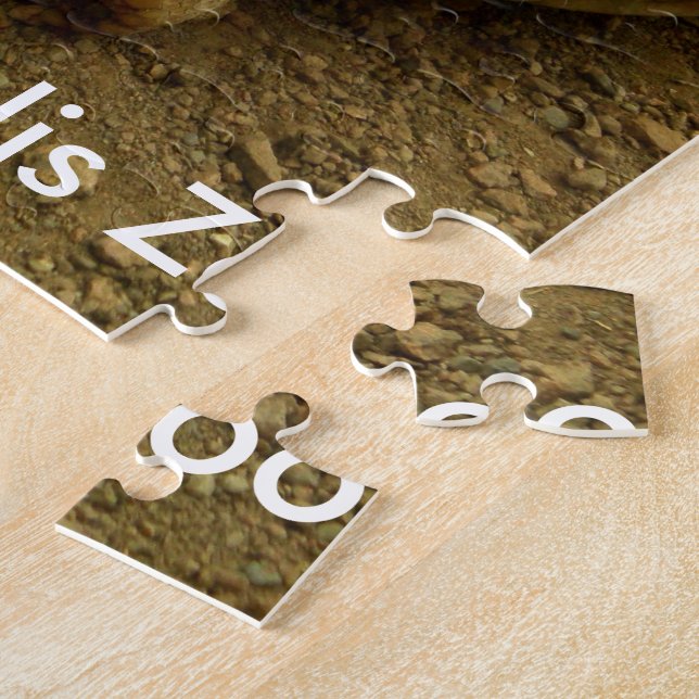 Quebra-cabeça Tartaruga no zoológico de Indianápolis (Lateral)