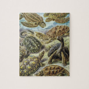 Quebra-cabeça Tartarugas do Mar Vintage e Tortoises por Ernst Ha