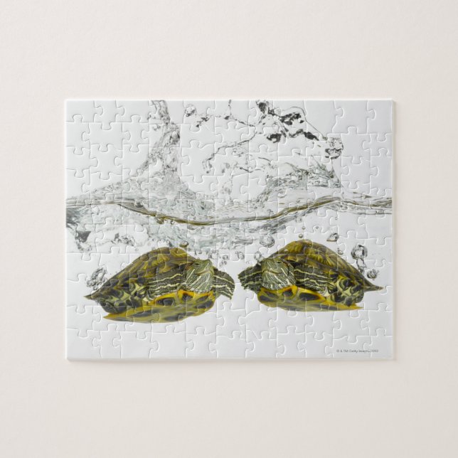 Quebra-cabeça Tartarugas vermelhas (Horizontal)