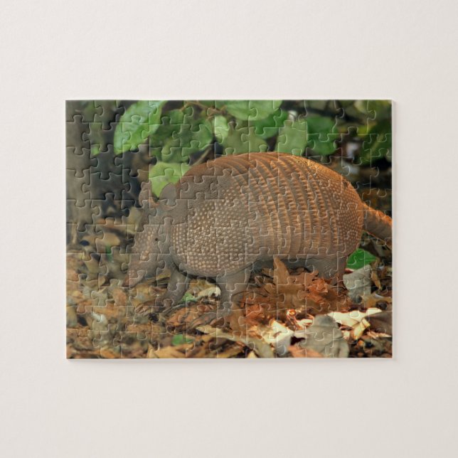 Quebra-cabeça Tatu de Texas (Horizontal)
