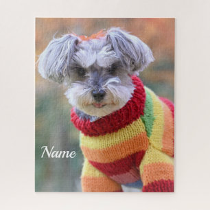Quebra-cabeça Teacup Schnauzer Puppy Dog em um Sweater