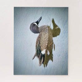 Quebra-cabeça Teal de asa azul