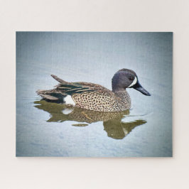 Quebra-cabeça Teal de asa azul