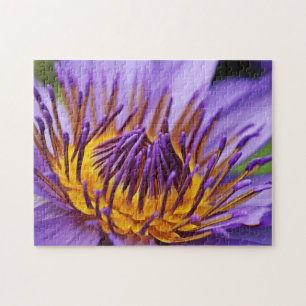 Quebra-cabeça Tema Natureza Closetup Water Flower Cloup