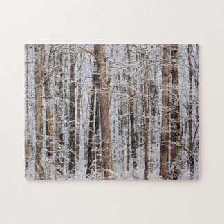 Quebra-cabeça Tempestade de gelo de inverno na floresta - 11x14