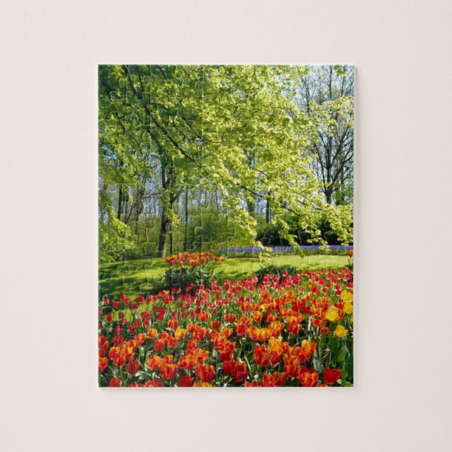 Quebra-cabeça Tempo da tulipa, jardins em Keukenhof (Vertical)