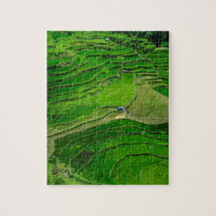 Quebra-cabeça Terraços de arroz verde, Filipinas