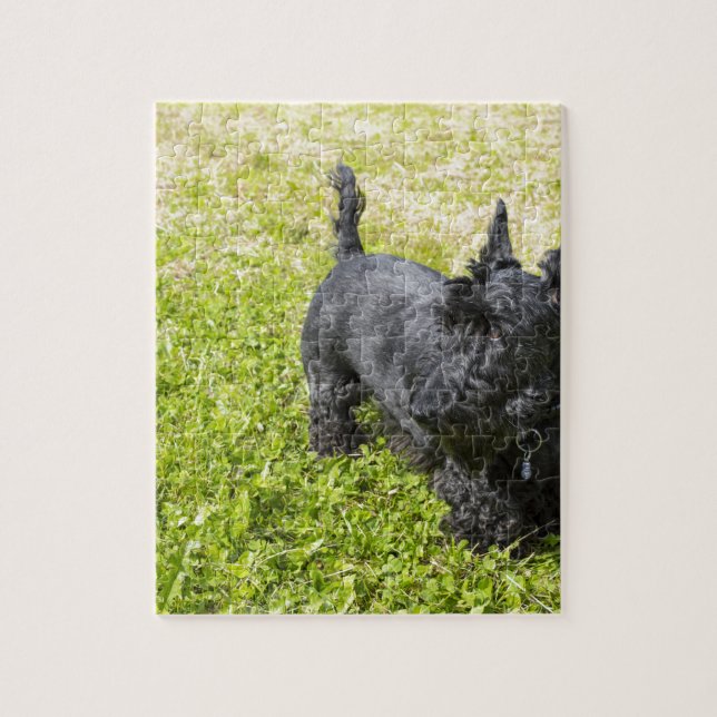 Quebra-cabeça Terrier escocês (Vertical)