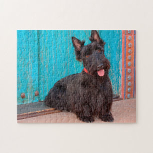 Quebra-cabeça Terrier Escocês sentado ao lado de uma porta color