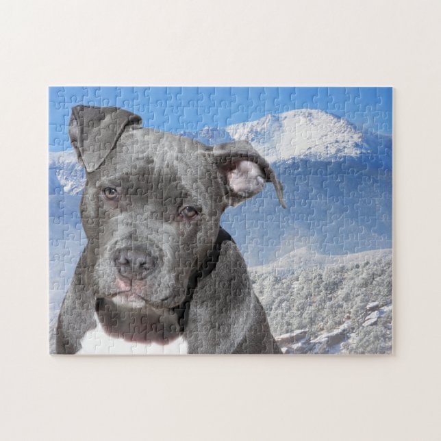 Quebra-cabeça Terrier Pitbull. (Horizontal)