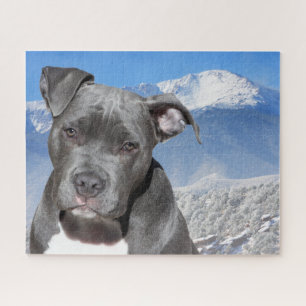 Quebra-cabeça Terrier Pitbull.
