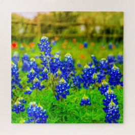 Quebra-cabeça Texas Bluebonnets Indian Floral Nature Viagem