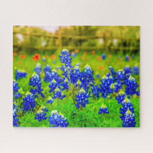 Quebra-cabeça Texas Bluebonnets Indian Paintbrush Floral