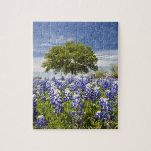 Quebra-cabeça Texas bluebonnets(lupinus texensis) e carvalho