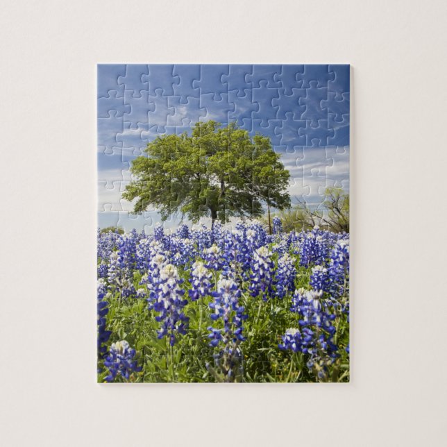 Quebra-cabeça Texas bluebonnets(lupinus texensis) e carvalho (Vertical)