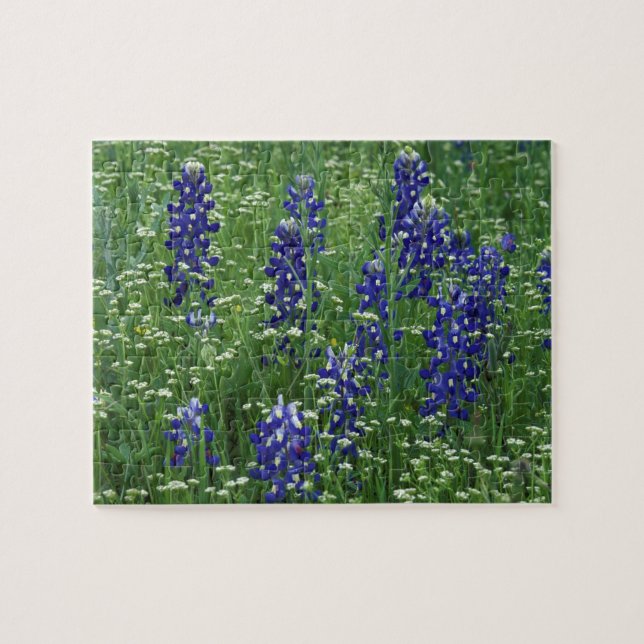 Quebra-cabeça Texas, Lago Buchanan. Texas Bluebonnet e Selvagem (Horizontal)