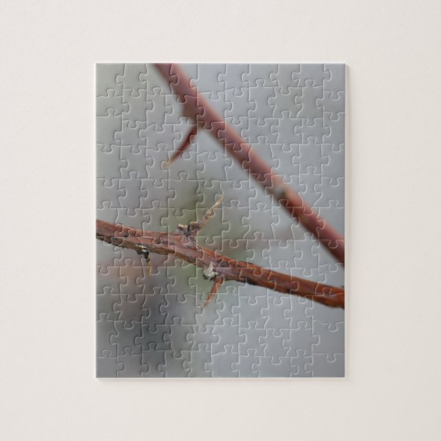 Quebra-cabeça Thorns (Vertical)
