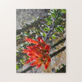 Quebra-cabeça Thorns & Fire Blossoms, 28 cm x 35,5