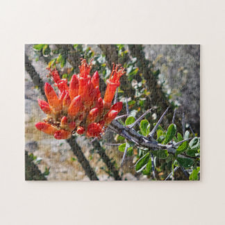 Quebra-cabeça Thorns & Fire Blossoms Puzzle, 11" x 14", 252 pcs
