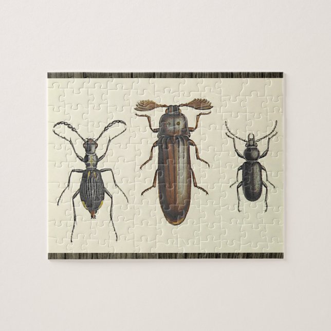 Quebra-cabeça Three Side-By-Side Insects Puzzle (Horizontal)