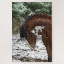 Thunder Snow Mustang Stallion