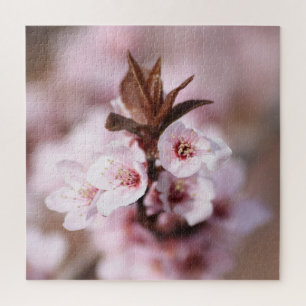 Quebra-cabeça Thundercloud Plum Blossoms Flores de Mola