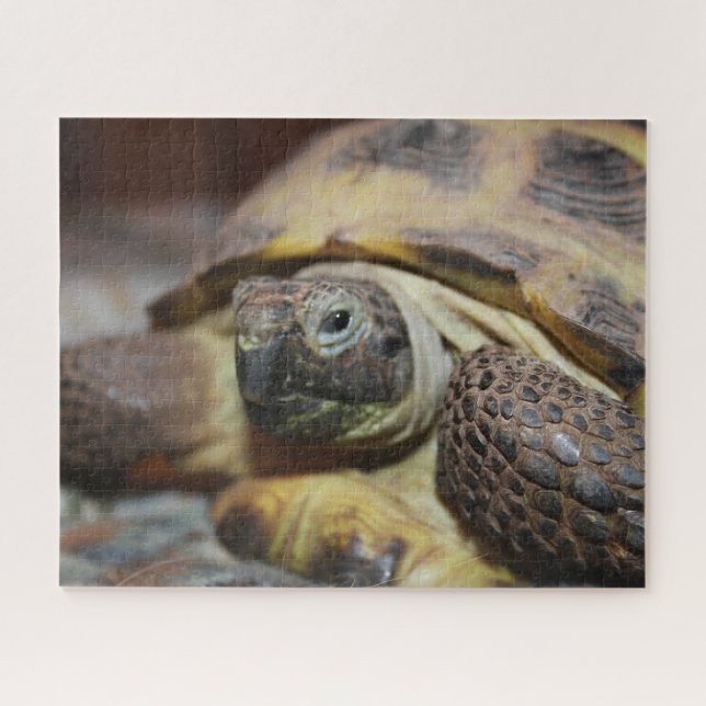 Quebra-cabeça Tibbs (Horizontal)