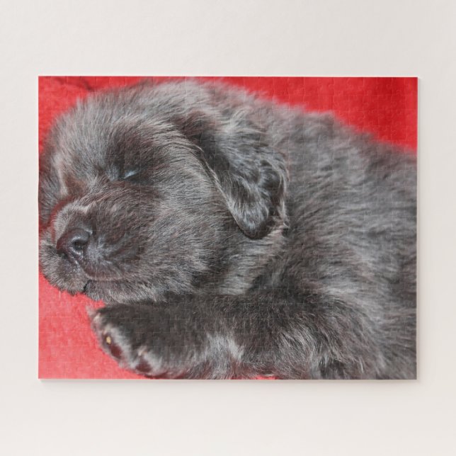 Quebra-cabeça Tibetano Mastiff Dog Jigsaws. (Horizontal)