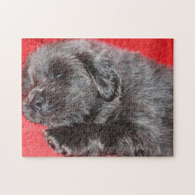 Quebra-cabeça Tibetano Mastiff Dog Jigsaws. (Horizontal)