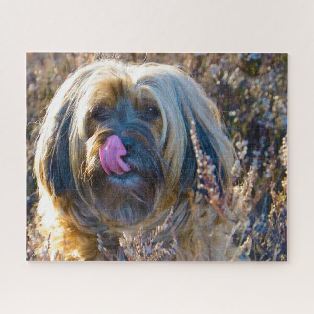 Quebra-cabeça Tibetano Terrier Dog Jigsaws. (Horizontal)