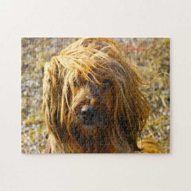 Quebra-cabeça Tibetano Terrier Dog Jigsaws. (Horizontal)