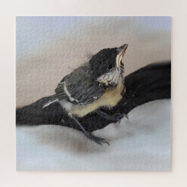 Quebra-cabeça Tidi, meu Pássaro, o Parus Major (Horizontal)
