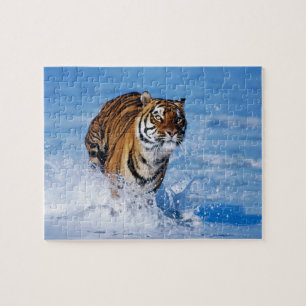 Quebra-cabeça Tiger