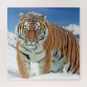 Quebra-cabeça Tiger Snow Mountain Animal Trendy Foto