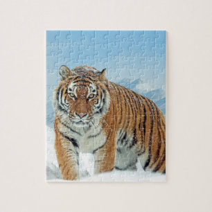 Quebra-cabeça Tiger Winter Snow Mountains Animal Photo