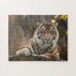 Quebra-cabeça Tigre