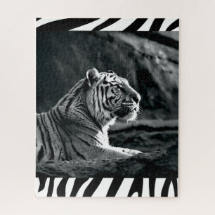 Quebra-cabeça Tigre branco