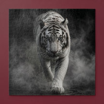 Tigre Branco Caminhando Através da Fumaça