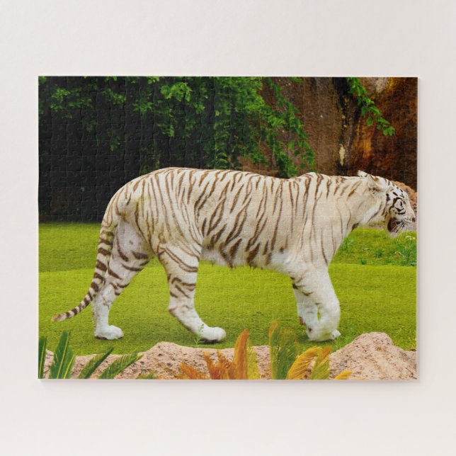 Quebra-cabeça Tigre Branco de Bengala. Grandes Felinos. (Horizontal)
