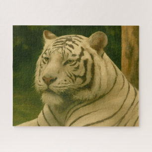 Quebra-cabeça Tigre Branco Descendo em Woodland Shade