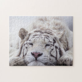 Quebra-cabeça Tigre Branco-Gelado