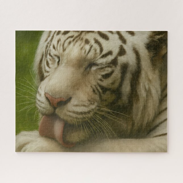 Quebra-cabeça Tigre Branco no Ritual de Alinhamento Privado (Horizontal)